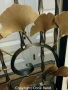 chris_rand_ginkgo_det_5
